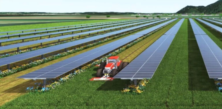 agri-pv dubbel gebruik landbouwgrond en zonnepanelen
