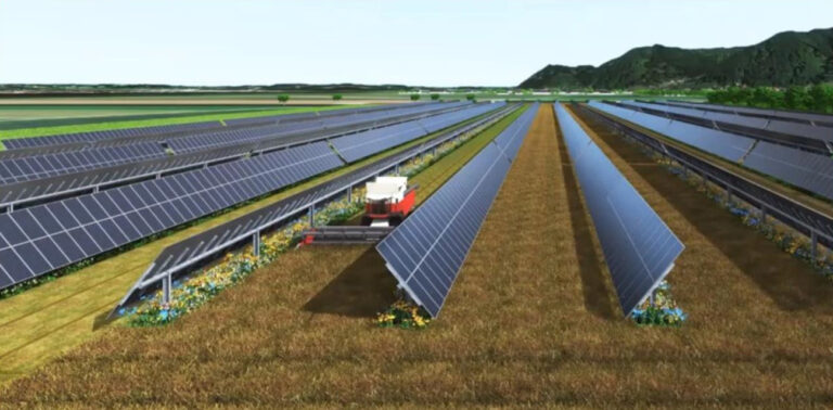 agri-pv dubbel gebruik landbouwgrond en zonnepanelen